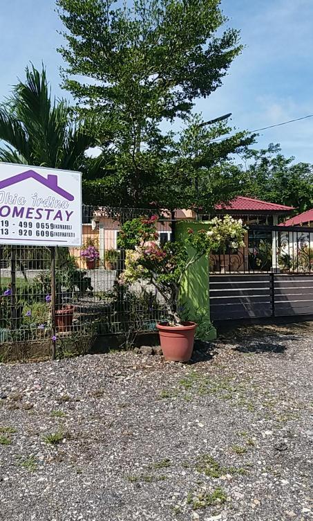 Dhia Irdina Homestay Paya Rewak ภายนอก รูปภาพ
