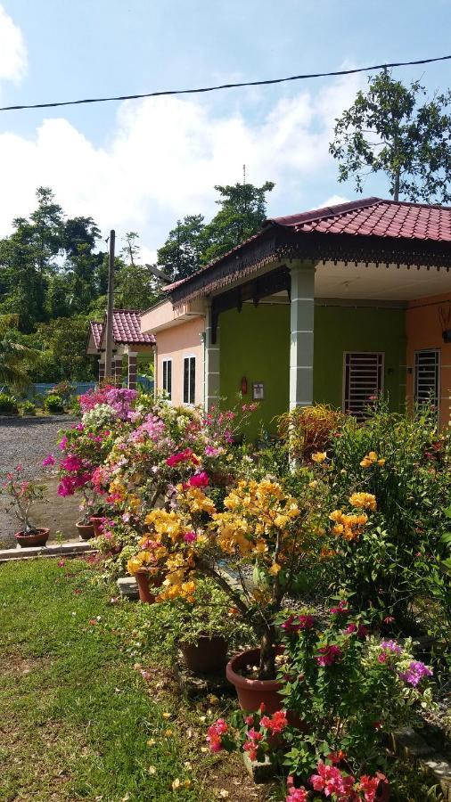 Dhia Irdina Homestay Paya Rewak ภายนอก รูปภาพ